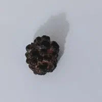 شهاب سنگ اصلی|کلکسیون و سرگرمی|یاسوج, |دیوار