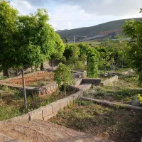 باغ-غلات-ارمغان-تجاری