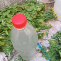 عرقیات خانگی