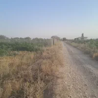 ۶۵۰ متر باغ انگور تاکستان|فروش دفتر صنعتی، کشاورزی، تجاری|کرج, حصار|دیوار