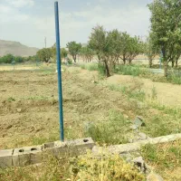فروش-زمین-کشاورزی