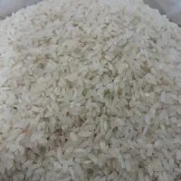 برنج کامفیروزی به شرط پخت