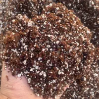 بستر کشت حرفهای گیاهان آپارتمانی و صیفیجات|گل و گیاه طبیعی|تربتحیدریه, بهشت عسکری|دیوار