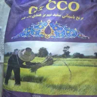 برنج هندی