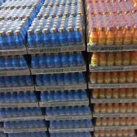 بازاریاب خانم با خودرو