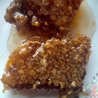 عسل طبیعی اویش وگون از دامنه سبلان|خوردنی و آشامیدنی|رشت, امین الضرب|دیوار