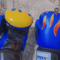 دستکش بوکس|تجهیزات ورزشی|زابل, |دیوار