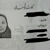 کارت ملی گمشده همراه کیف و کارت بانکی