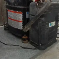 یخچال مرغ