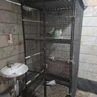 قفس پرنده کفتر
