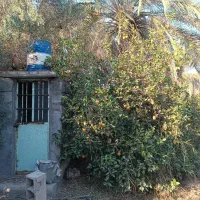 فروش باغچه/۶۰۰متر/نزدیک جاده اتوبان /شهرک پیروزی