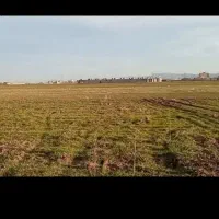 زمین کشاورزی|فروش دفتر صنعتی، کشاورزی، تجاری|ماهیدشت, |دیوار