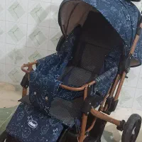 کالسکه دلیجان با روکش خارجی