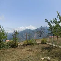 فروش زمین باغی ۴۰۰ متری باغگلبن|فروش زمین و ملک کلنگی|گرگان, |دیوار