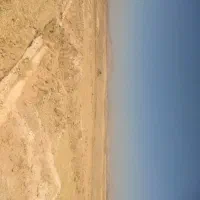 فروش-زمین-باغی