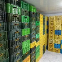 دعوت به همکاری و استخدام و جذب بازاریاب و ویزیتور|استخدام بازاریابی و فروش|نجفآباد, دفاع مقدس|دیوار