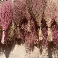 جارو شیرازی