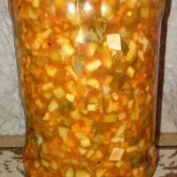 سالادزمستانی حرفه ای|خوردنی و آشامیدنی|قم, باغ شریفی|دیوار