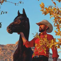 اسب عرب معاوضه با موتور دارم