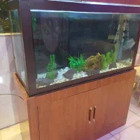 اکواریوم کمد ام دی اف