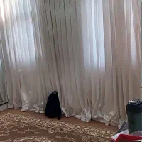 رهن و اجاره۵۷متری محله امین حضور|اجارهٔ آپارتمان|تهران, امین حضور|دیوار