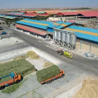 جذب نیروی خدمات و نظافت در ساختمان اداری ومحوطه|استخدام سرایداری و نظافت|شاهینشهر, مورچه خورت|دیوار