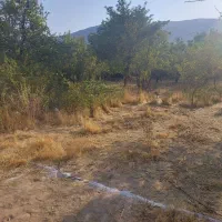 زمین-مسکونی