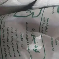 کود شیمیایی اوره