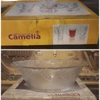 میوه خوری خارجی رومنس. استکان کامیلیا