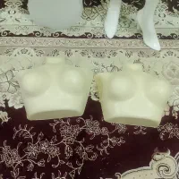 راهنمایی مانکن|حراج|اصفهان, شیخ طوسی|دیوار