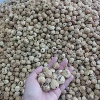 انجیر خشک تازه