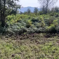 زمین دویست متری داخل طرح