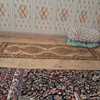 نمد|گلیم، جاجیم، گبه|بندر ماهشهر, |دیوار