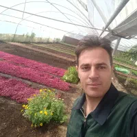 باغبانی|خدمات باغبانی و درختکاری|قم, هنرستان|دیوار