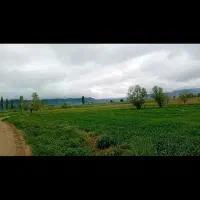 زمین-سنددار