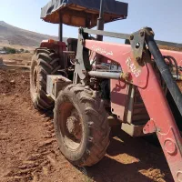 فروش ۲۸۵ جفت بیل دار مدل ۸۶