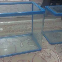 آکواریوم ماهی|ماهی|شاهدشهر, |دیوار