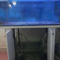 آکواریوم سامپ دار|ماهی|قرچک, مهدیه|دیوار