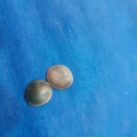 مهره اصلی