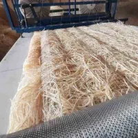 پخش پوشال کولر