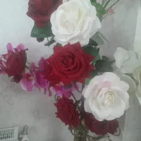 به قیمت خیلی مناسب