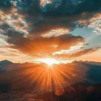 نیازمند همکار