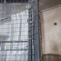 قفس جوجه پرون قناری|لوازم جانبی حیوانات|شهرکرد, |دیوار