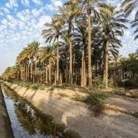 فروش زمین کشاورزی