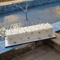 اجاره ماکت کیک