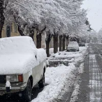 قبولی در آزمون رانندگی