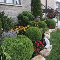 کلیه خدمات باغبانی باغ و باغچه|خدمات باغبانی و درختکاری|کرج, گوهردشت|دیوار