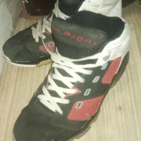 کفش|کیف، کفش، کمربند|ملایر, |دیوار