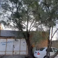 کارگاه صنعتی ۱۲۰متر بابر۸متررهن واجاره داده میشود
