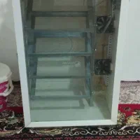 دستگاه جوجه کشی|لوازم جانبی حیوانات|گرگان, |دیوار